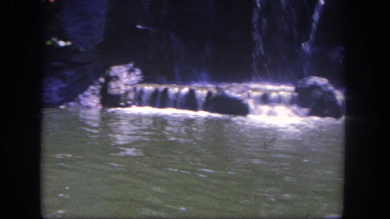 1962 Disneyland frame of a landscaped pool area with rockwork, greenery, and a low cascade, before the elephant enters view.