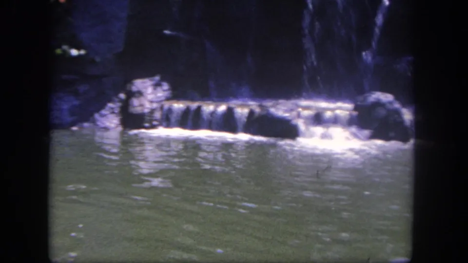 1962 Disneyland frame of a landscaped pool area with rockwork, greenery, and a low cascade, before the elephant enters view.