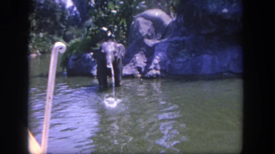 1962 Disneyland home-movie frame showing an elephant wading in water near rockwork, greenery, and a white crook-like pole.