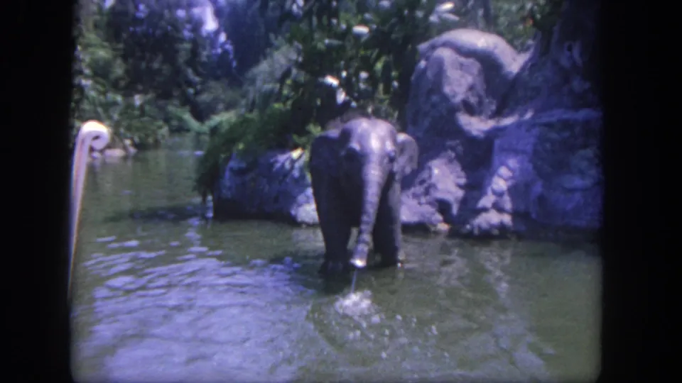 1962 Disneyland frame showing an elephant facing the camera in a shallow landscaped pool with rocks and plants behind it.