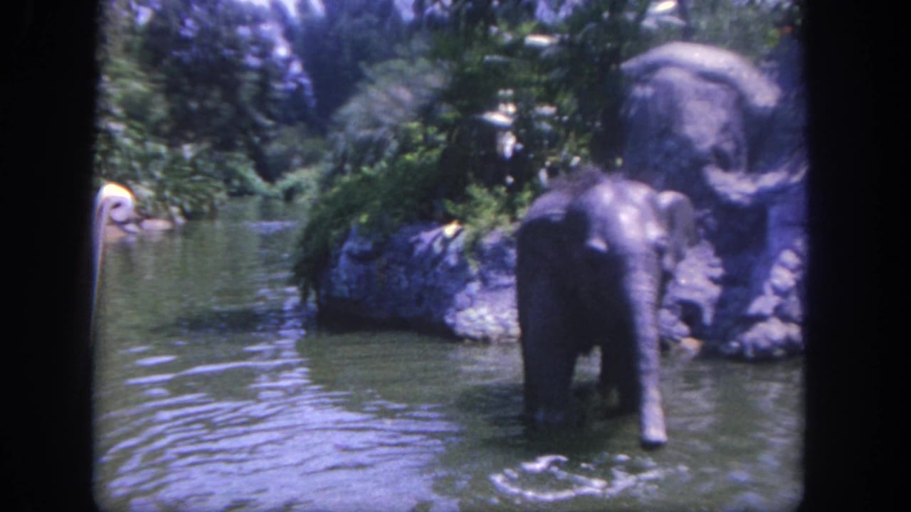 1962 Disneyland 8mm frame showing a mechanical elephant wading in a jungle-themed waterway with rocks and greenery around it.