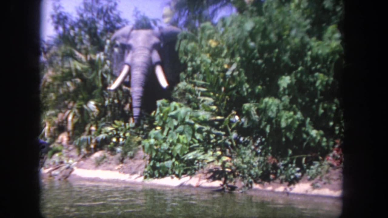 Elephant figure with tusks partly hidden by foliage along a waterway.
