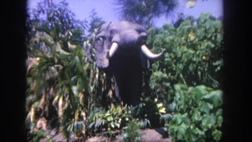 1962 Disneyland 8mm frame showing the mechanical elephant partly in shadow behind thick foliage and attraction rockwork.