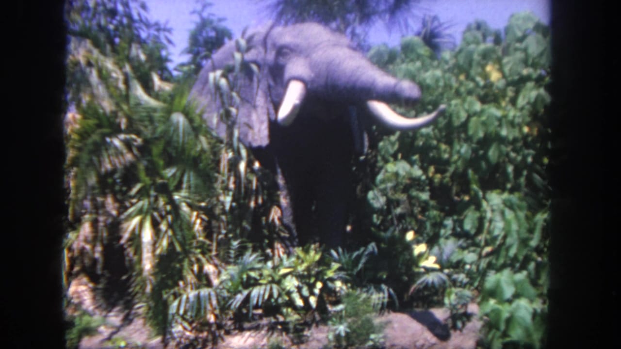 1962 Disneyland home-movie frame showing a gray tusked elephant figure among dense artificial jungle plants.