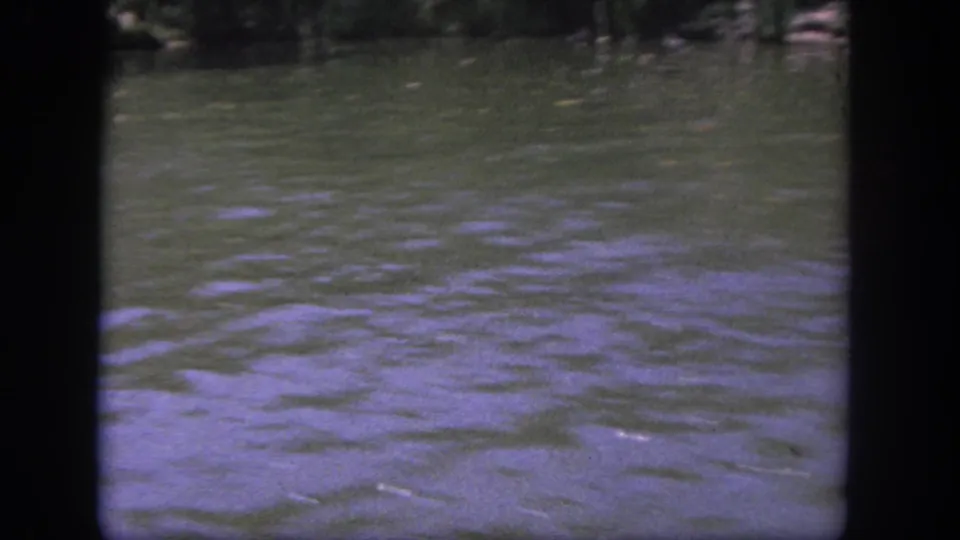 1962 Disneyland home-movie frame from a moving boat, showing green river water, shaded foliage, and no clear hippo figure in view.