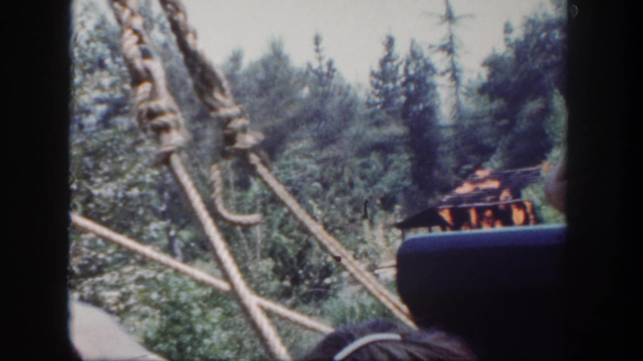 From inside a Disneyland ride vehicle, rope supports and dark framing cross a wooded attraction scene with a small fire effect beyond.
