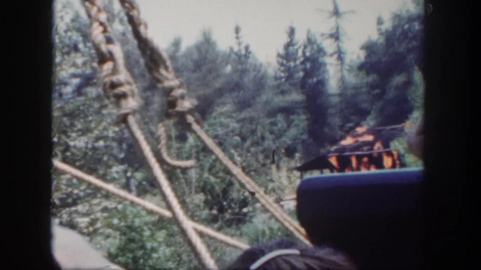 From inside a Disneyland ride vehicle, rope supports and dark framing cross a wooded attraction scene with a small fire effect beyond.