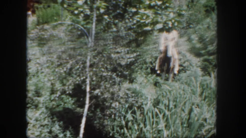 The final frame shows Disneyland attraction landscaping with dense greenery, tall grasses, a pale hanging prop-like form, and dark ride or film borders.