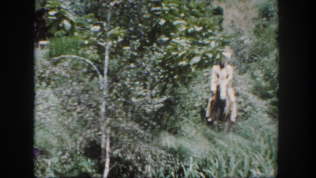 Two distant riders or visitors appear among dense greenery near a landscaped attraction.