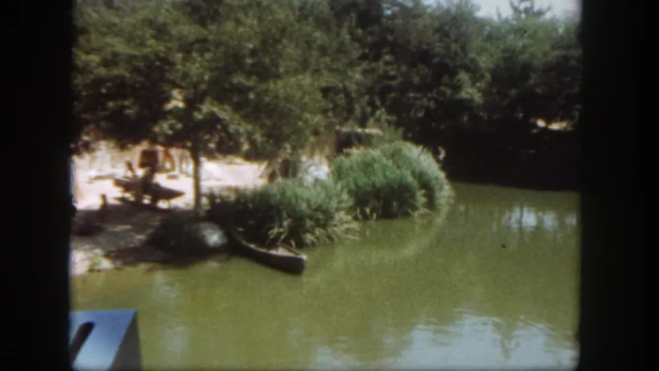 End frame from a 1962 Disneyland 8mm boat view showing reeds, trees, shaded huts, and calm green water.