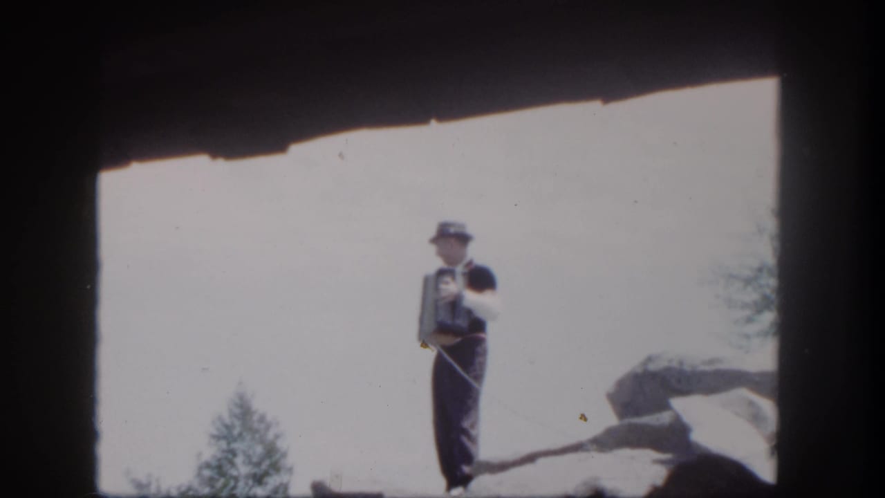 Accordion player stands near a rock outcrop with a pale sky and trees behind him.