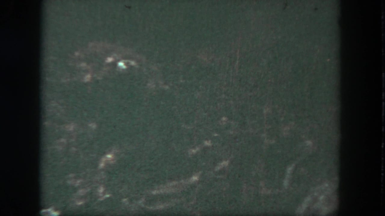 Dark underwater view with faint shapes and small bright reflections.