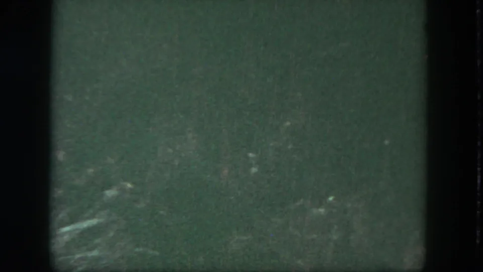 Grainy 8mm Disneyland frame with dark green water and a pale diagonal reflection near the lower left.