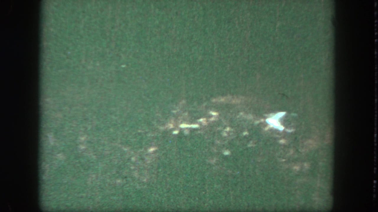 Soft green-tinted frame with partial film exposure and a faint outdoor scene near water.