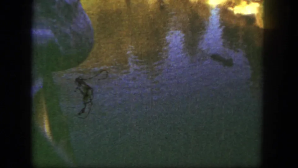 1962 Disneyland home-movie frame showing a partial visitor in a blue checkered shirt near reflective lake water.