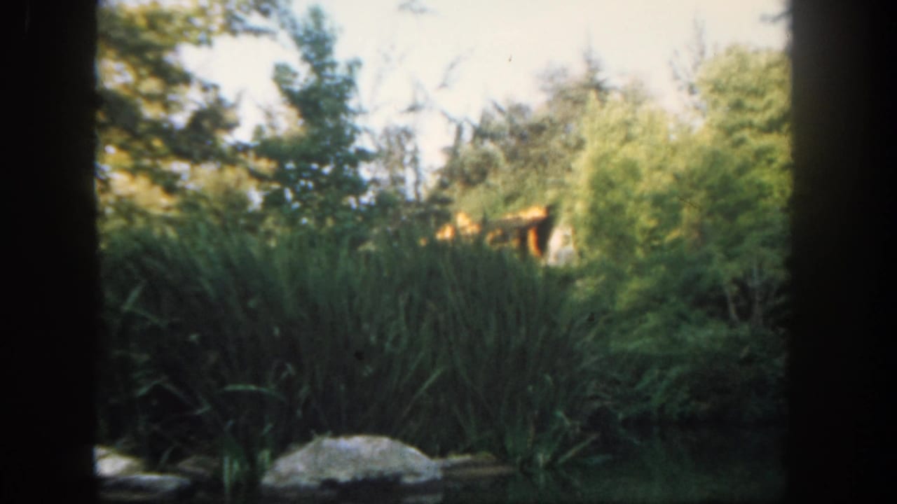 Lush landscaped greenery seen through dark vertical film-frame edges.