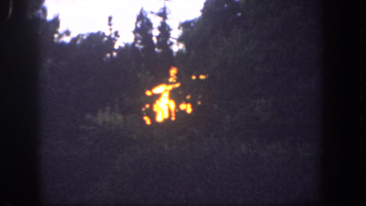 1962 Disneyland home-movie frame showing an orange blaze beyond silhouetted trees, with dark exposure and visible film borders.
