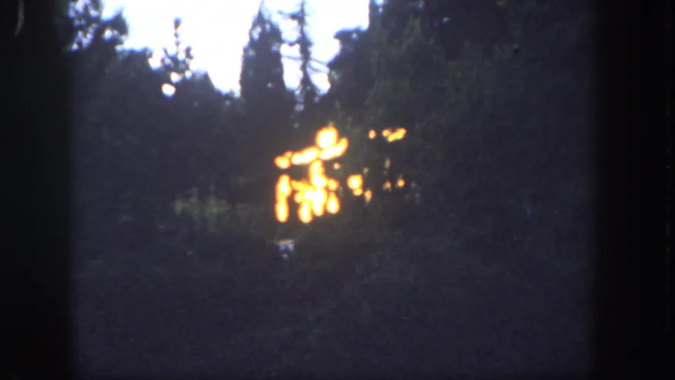 1962 Disneyland home-movie frame showing a glowing fire among trees, with blue dusk light, heavy grain, and handheld 8mm framing.