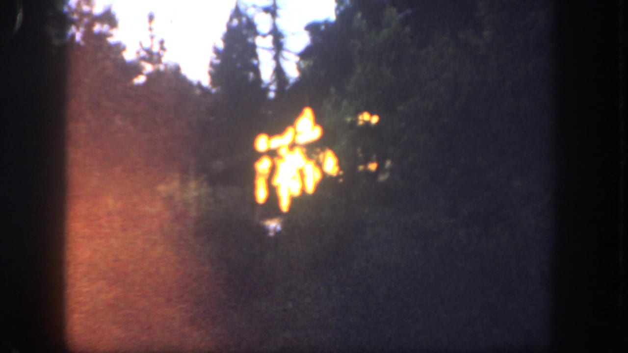 1962 Disneyland 8mm frame showing distant orange flames against dark forest silhouettes and a pale sky.