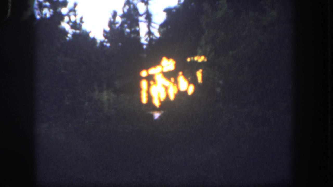 1962 Disneyland 8mm frame with a clustered fire effect visible through dark trees and heavy film grain.