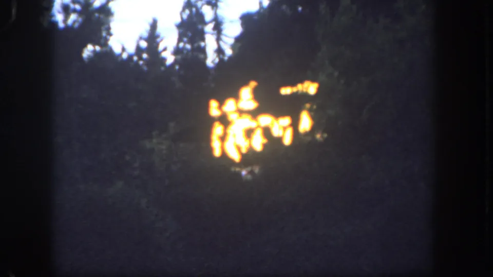 1962 Disneyland 8mm frame showing bright fire through a soft, grainy view of dark woodland.