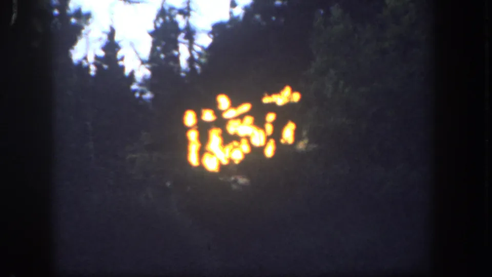 1962 Disneyland 8mm frame showing a distant flame effect framed by dark trees and visible film edges.