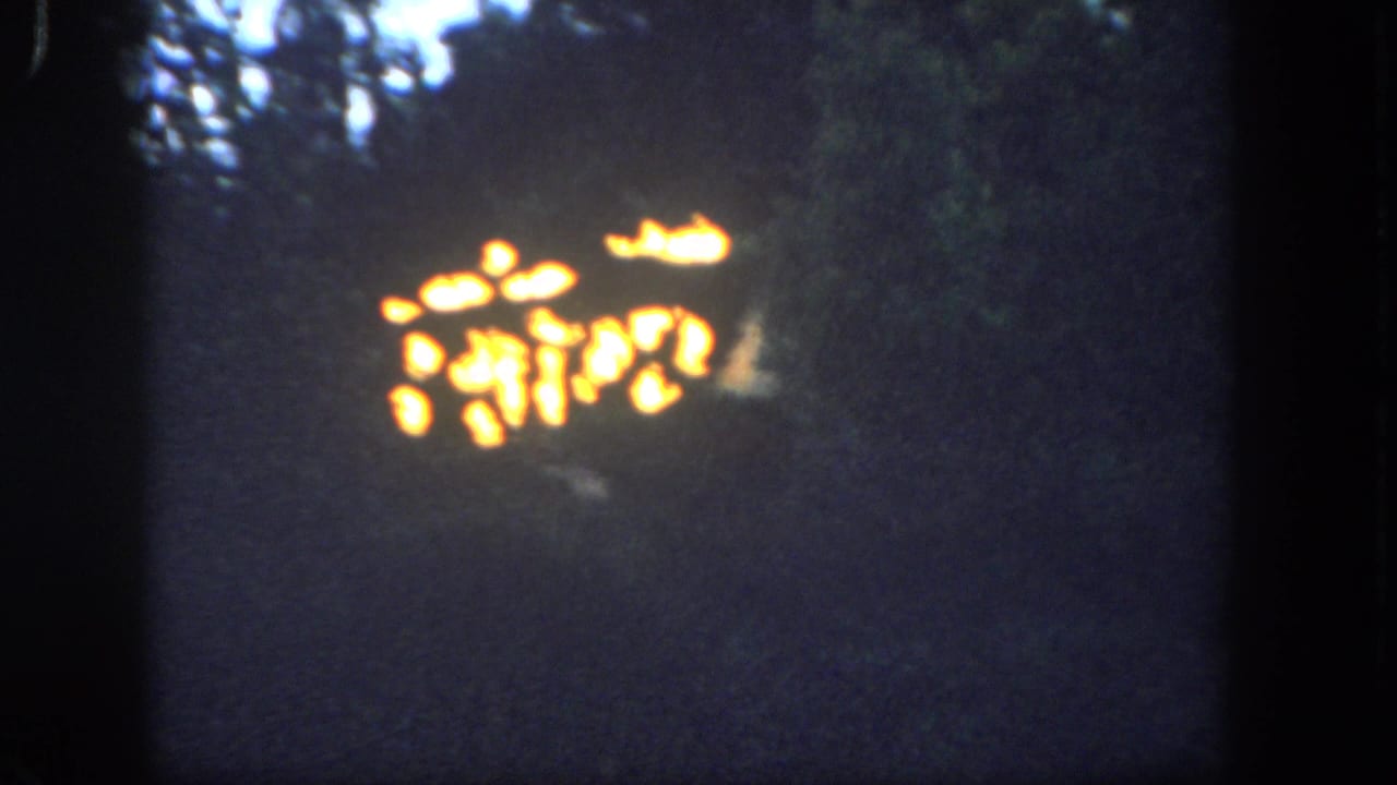 Distant fire glows through trees in the Disneyland, California clip, with visible 8mm grain and dark exposure.