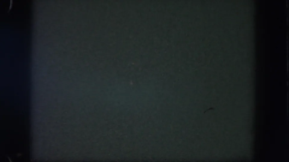Mostly dark Disneyland clip frame with greenish 8mm grain, vertical edge shadowing, and no clearly visible subjects.