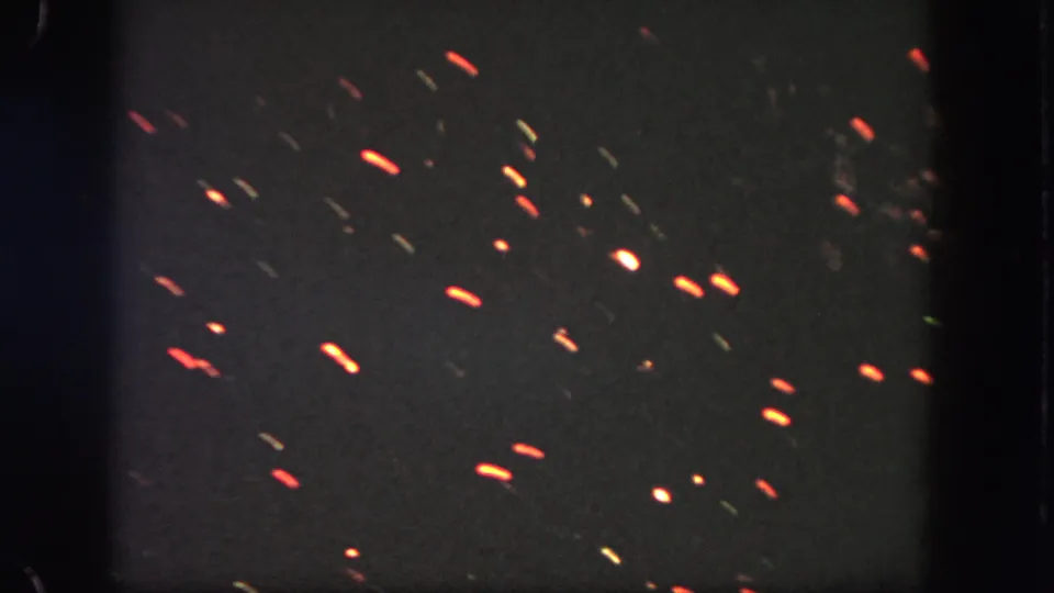 Red, orange, and pale sparks scatter across the dark sky in visitor-shot 1962 Disneyland fireworks footage.