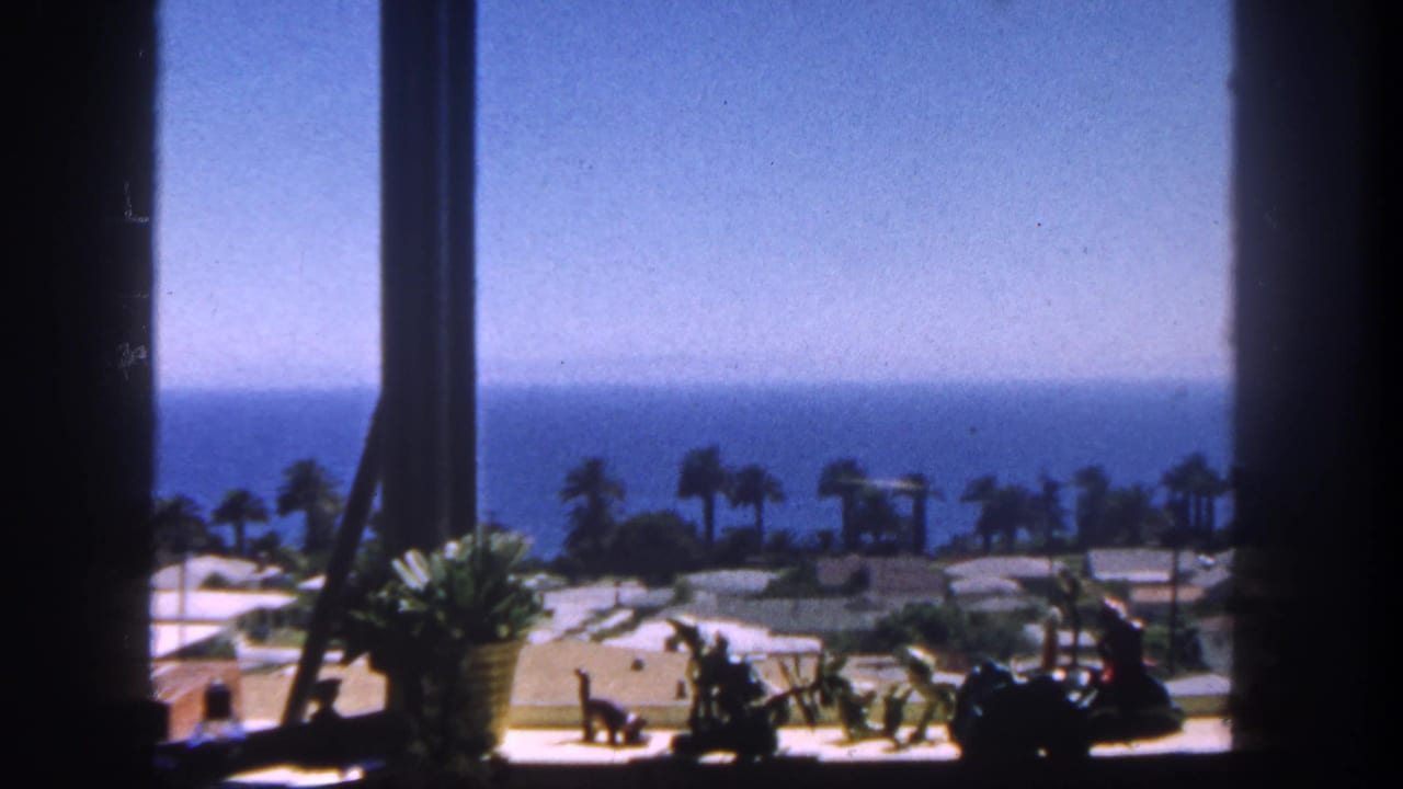 1962 San Diego coastal view through a window, with silhouetted ornaments and a potted plant in front of palms, buildings, and ocean.