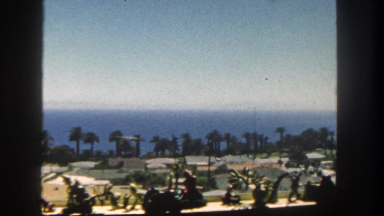 Palm-lined coastal grounds and ocean seen through a window with sill objects below.