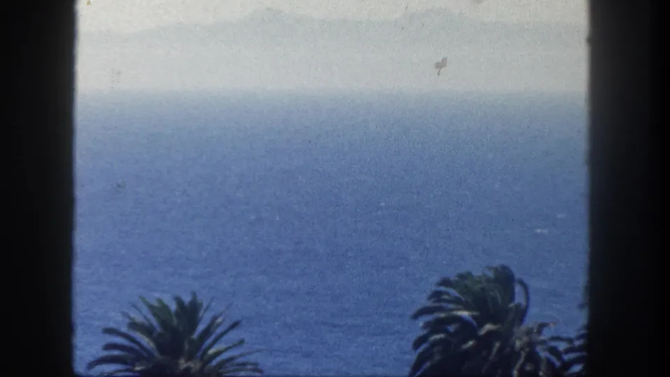 1962 San Diego 8mm frame after the camera moves tighter on the blue ocean, with dark window edges and palm fronds below.