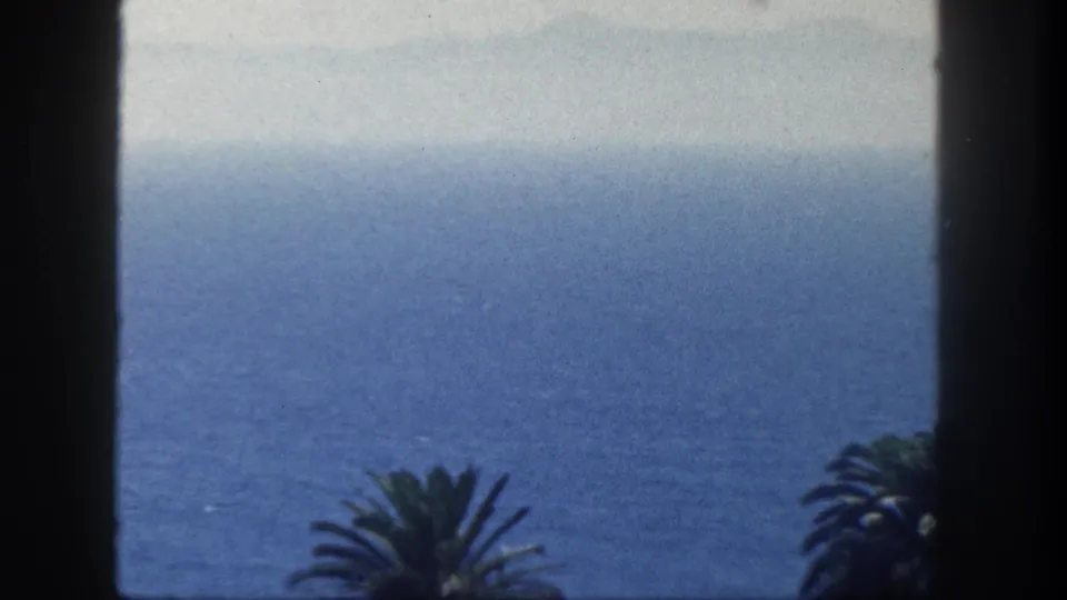 Final 1962 San Diego 8mm view centers on the ocean and hazy horizon, framed by dark window edges and lower palm fronds.