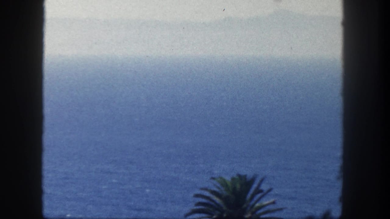 Hazy blue ocean seen through dark vertical edges with palm fronds low in frame.