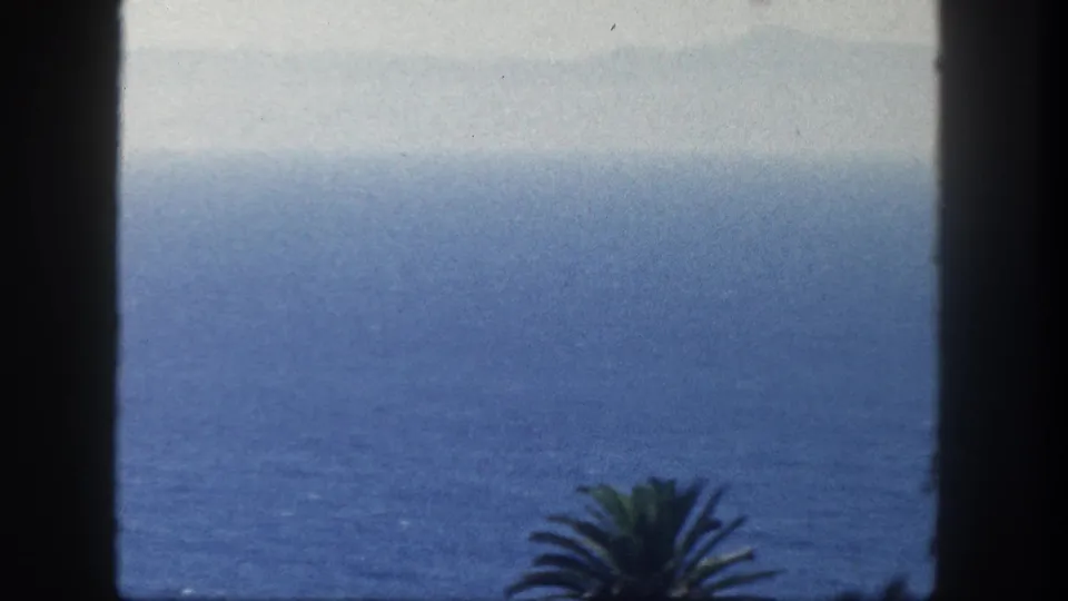 1962 San Diego home-movie frame showing the ocean horizon through dark vertical framing, with palm fronds at the bottom.