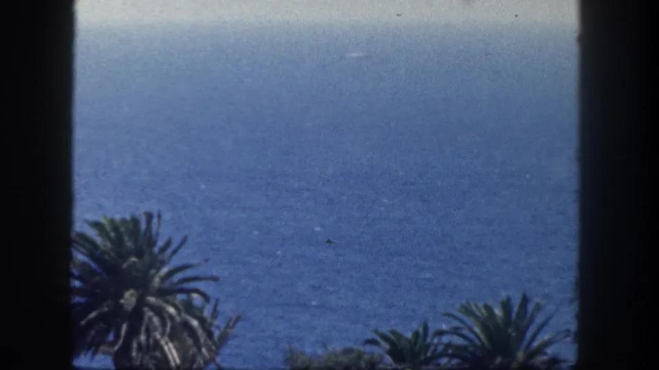 1962 San Diego coastal frame with palm trees beneath a hazy blue ocean horizon, bordered by dark foreground edges.