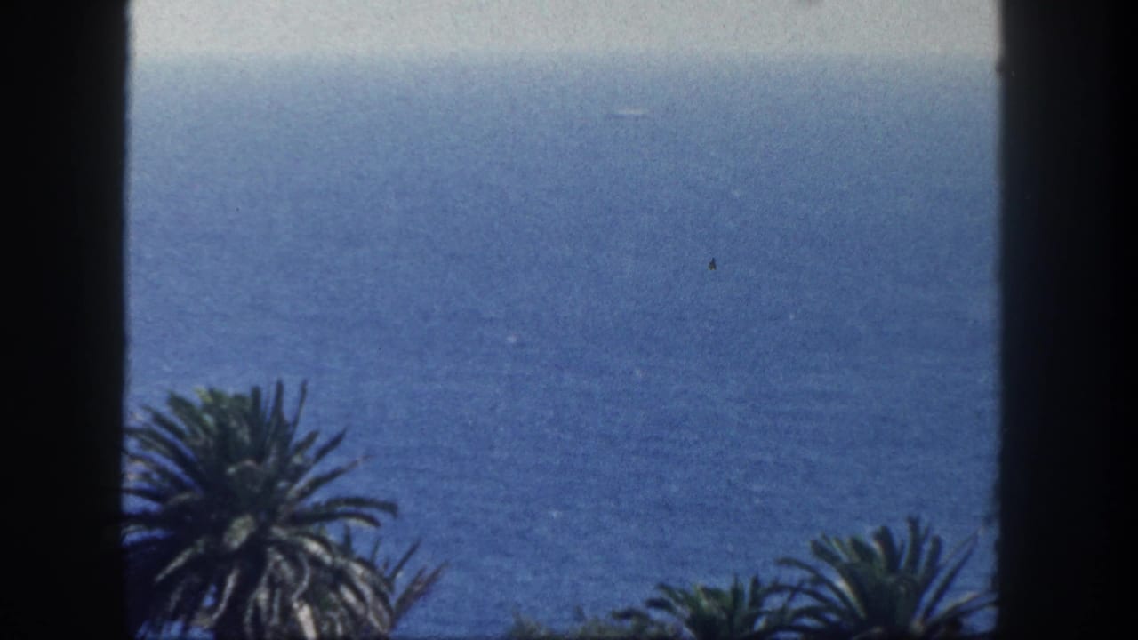 Ocean view with palm trees seen through a dark window or balcony frame.