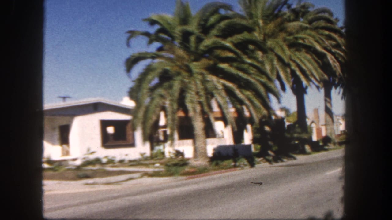 1962 San Diego home-movie frame showing tall palms, stucco houses, lawns, and a roadway filmed from inside a moving vehicle.