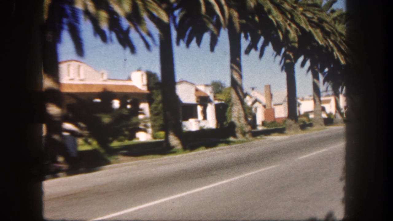 Moving-vehicle view of a palm-lined San Diego residential block with stucco homes and bright midday sky.