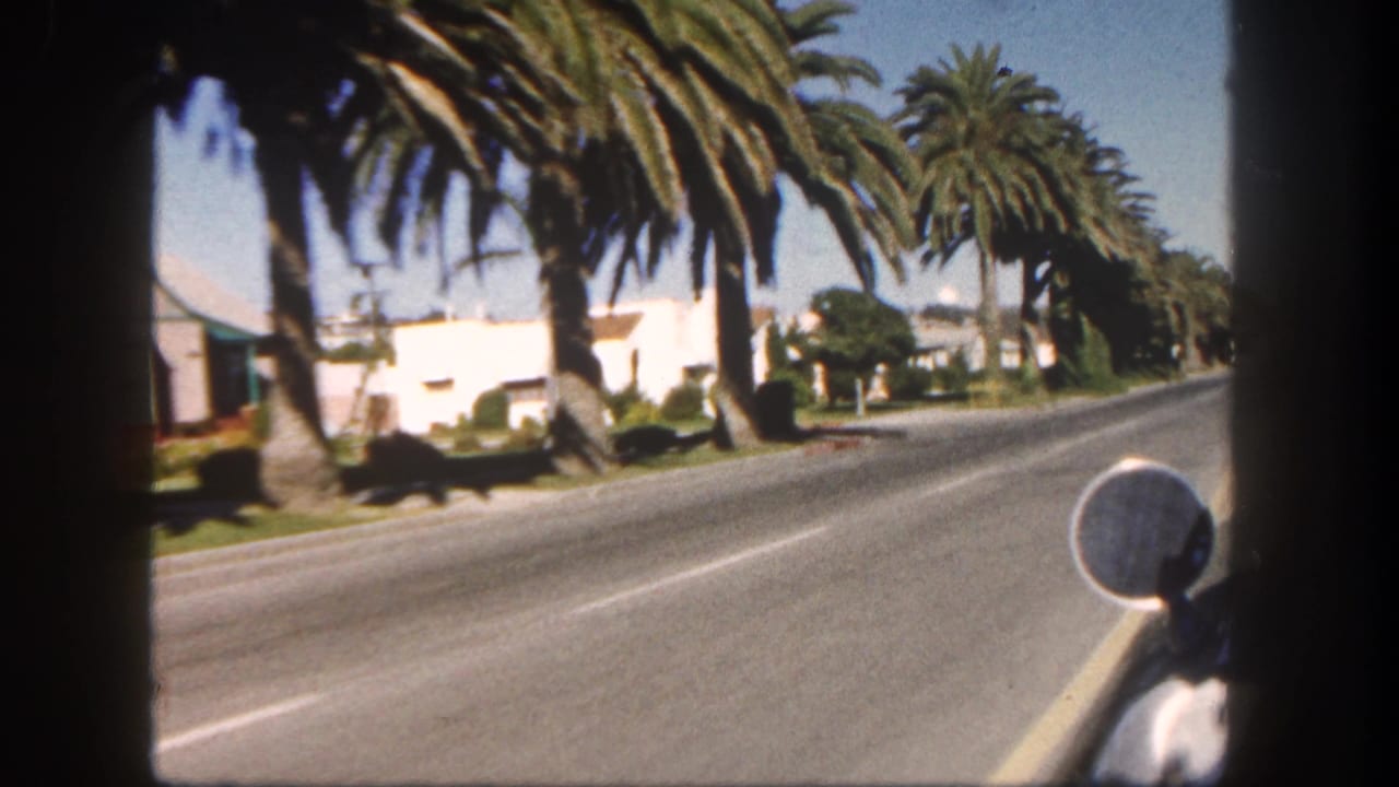 Car view down a palm-lined suburban street with stucco homes and a side mirror visible.