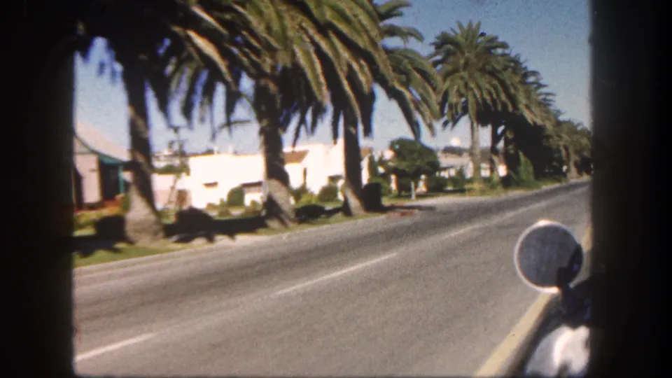 1962 San Diego car-window view along a palm-lined residential street with low stucco homes and a round side mirror in frame.