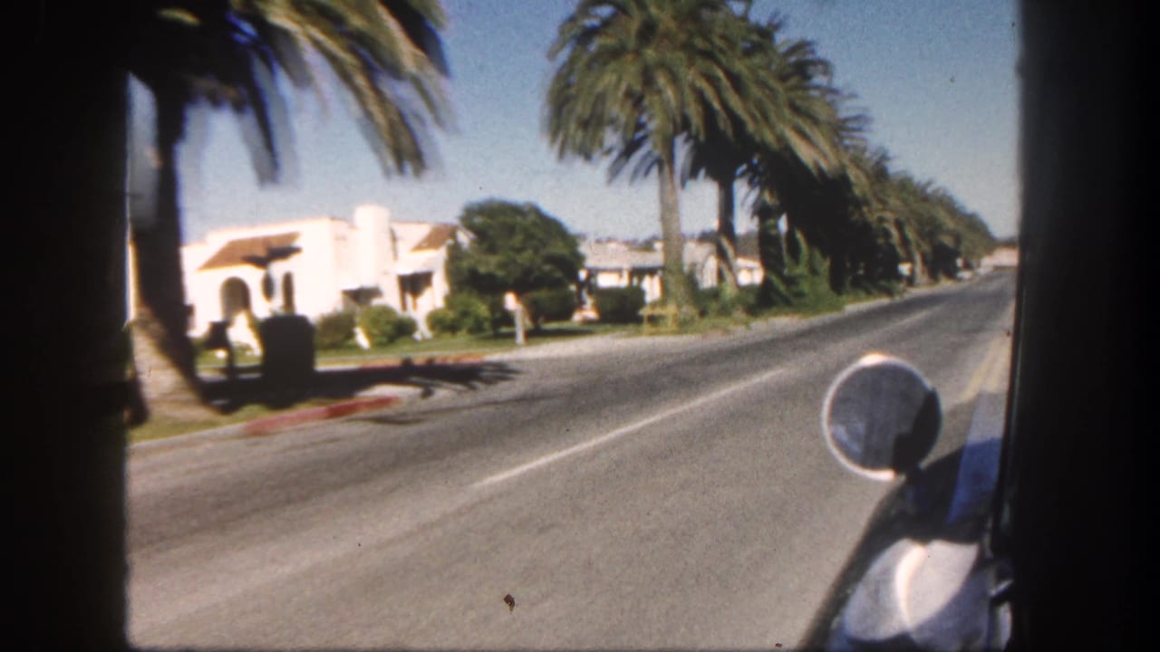 Palm-lined road with white homes, front lawns, and a vehicle side mirror at right.