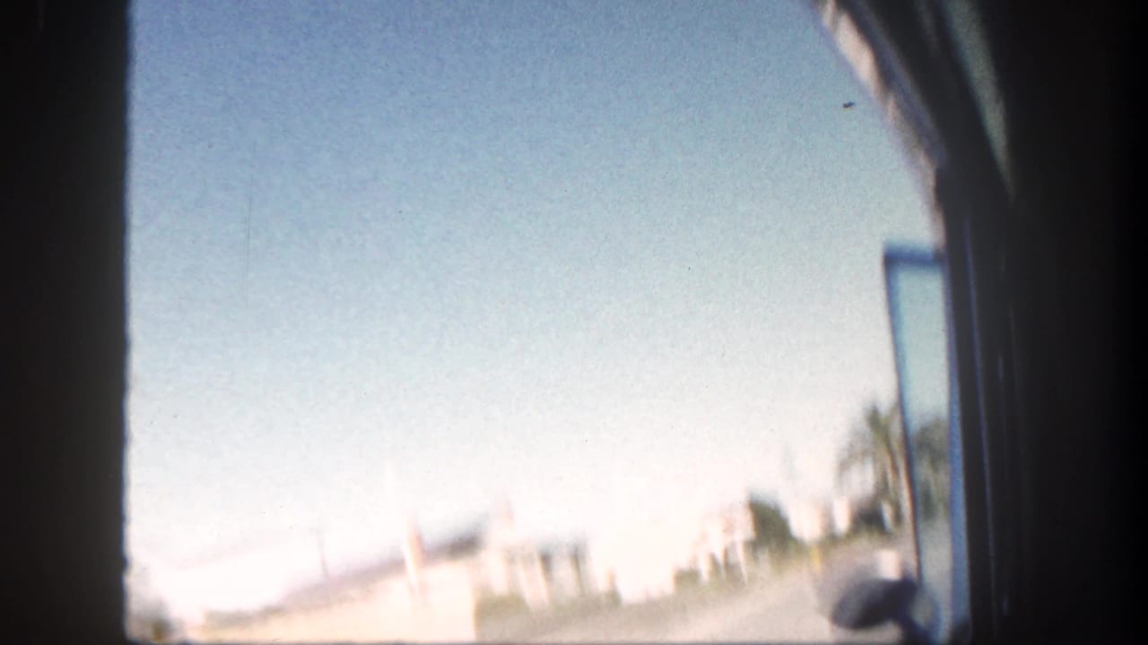 View from inside a moving car toward a sunny palm-lined residential street.