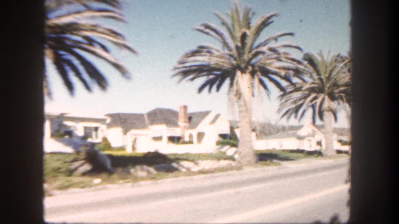 Sunlit San Diego residential street with tall palms, lawns, and low houses viewed from a moving car in 1962.