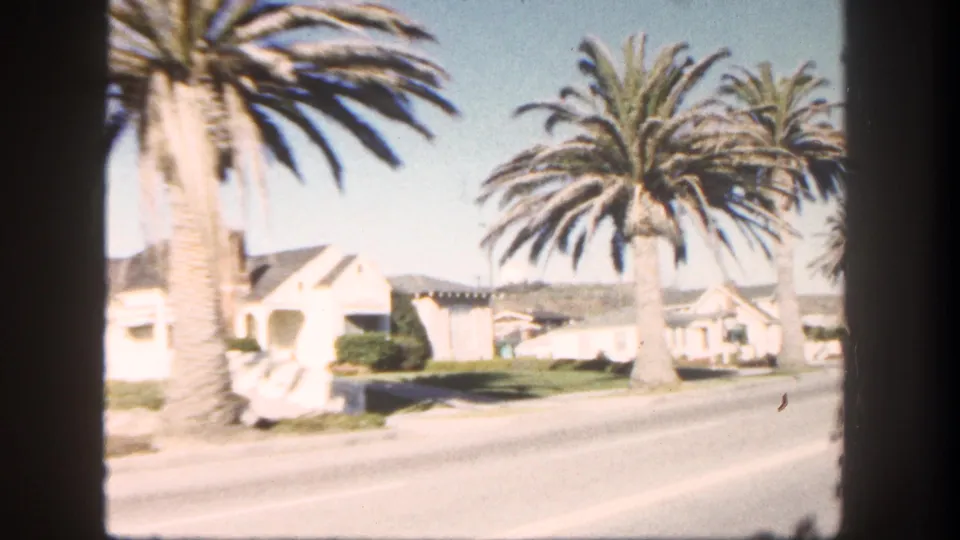 1962 San Diego street view with palms and residential houses, partially framed by the moving car interior.
