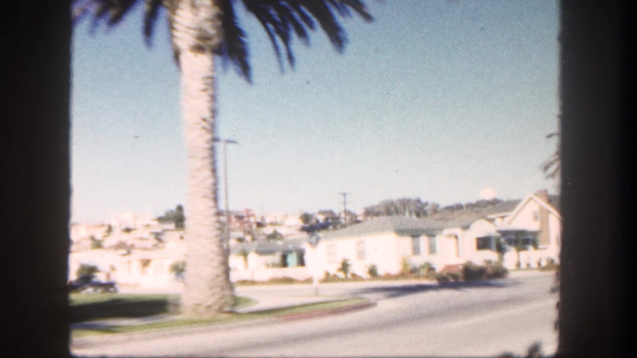 White houses and tall palm trees along a bright residential street seen from a moving vehicle.