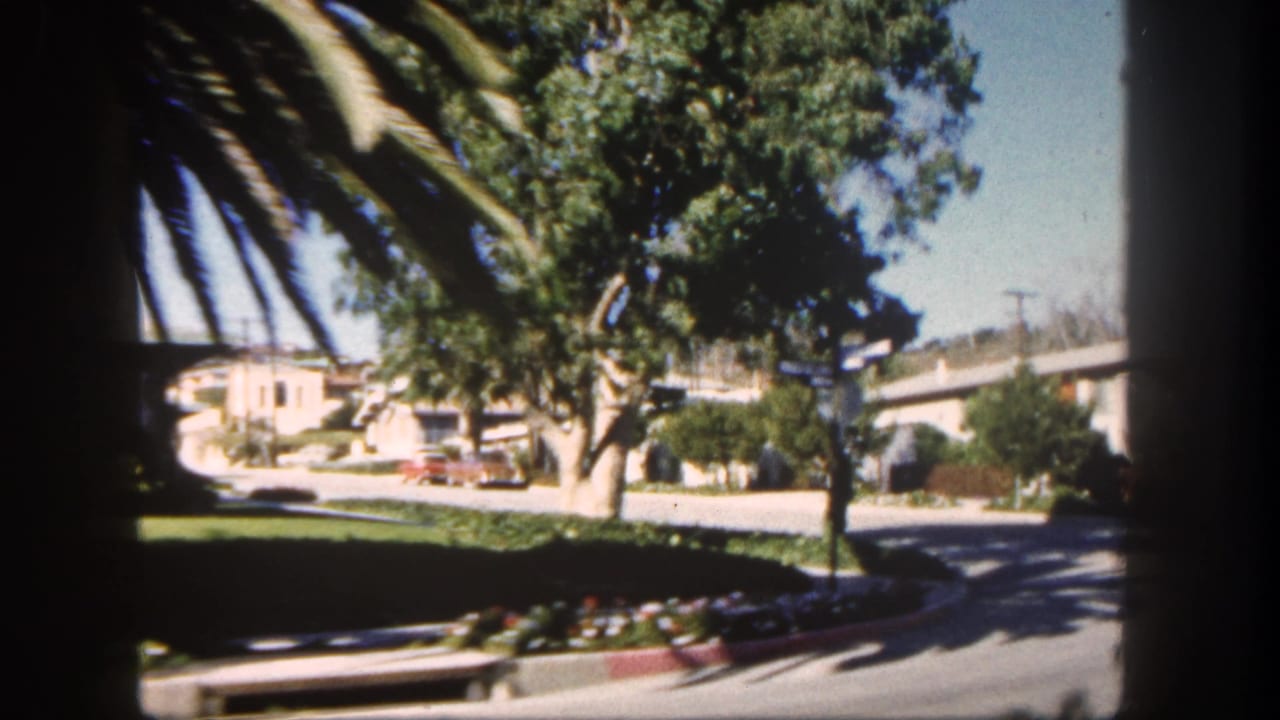 Sunlit suburban street seen through dark window framing, with palms, trees, homes, and a road curve.