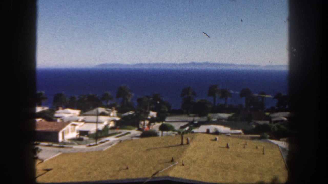 Elevated view over rooftops and palm trees toward a blue ocean horizon.