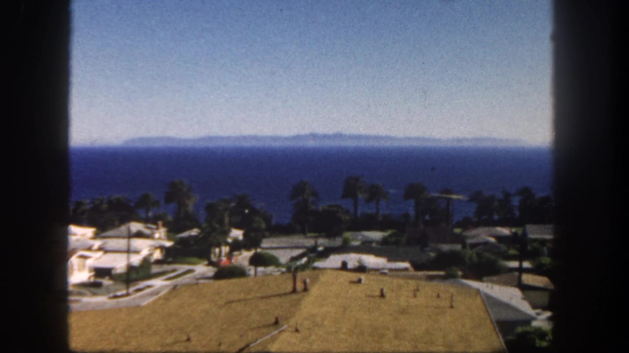 Ocean horizon behind palm trees and low houses, seen through dark window framing.