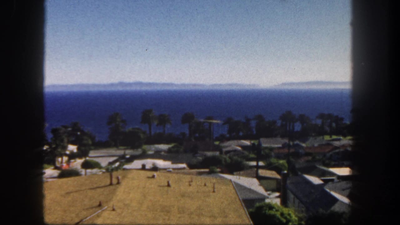 Coastal neighborhood viewed through dark vertical frame edges, with palm trees, rooftops, ocean, and distant land.